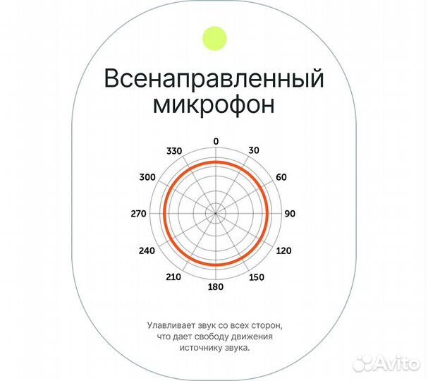 Петличный микрофон Raylab RecMic SH LavMic 6м