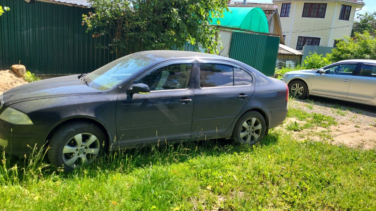 Skoda Octavia: фото владельца
