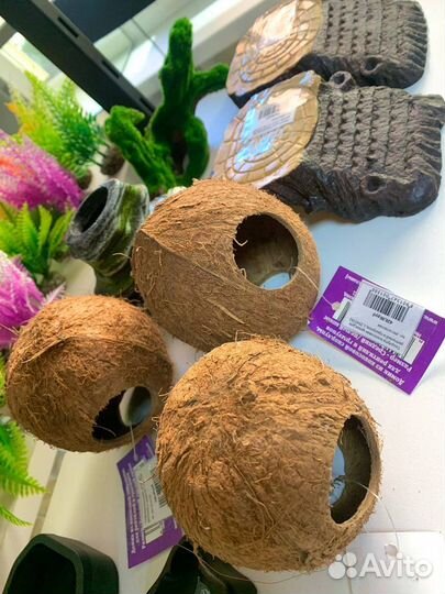 Вл.камера,термоковрик,сверчки,кальций для рептилий