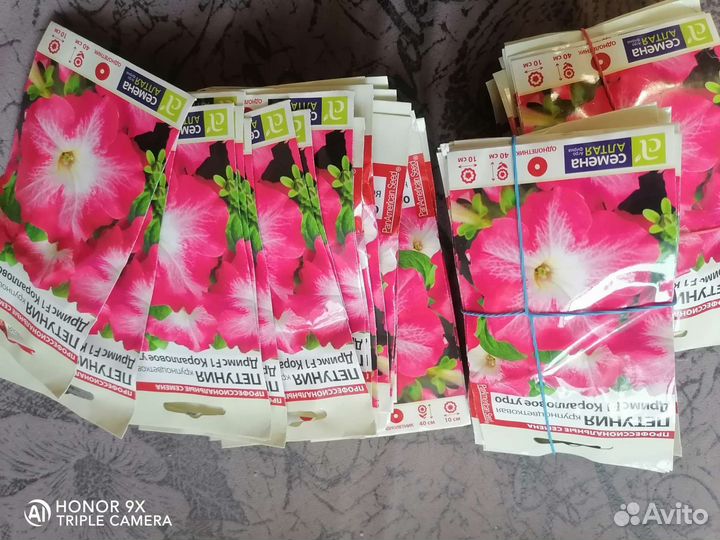 Семена петунии