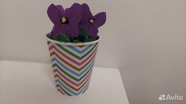 Необычная фиалка