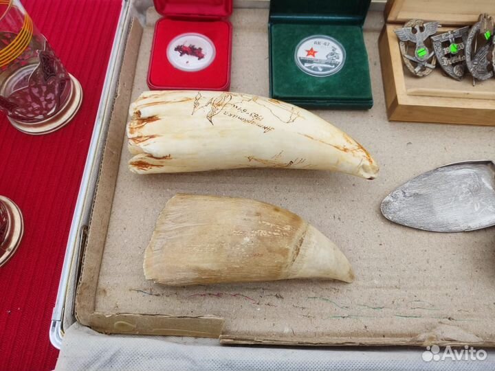 Оценка зуб кита(имитация)