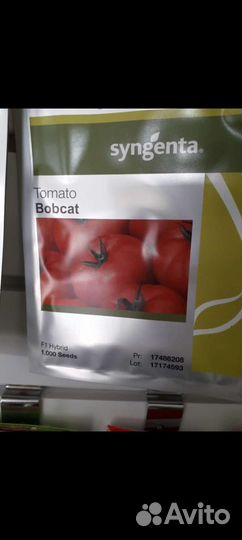 Продаем семена томатов