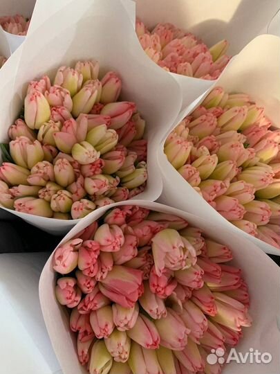 Букет тюльпанов