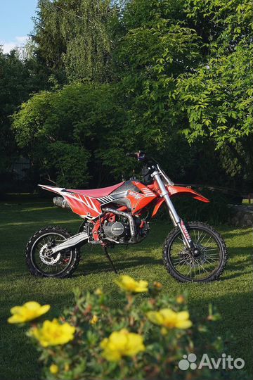 BSE MX 125