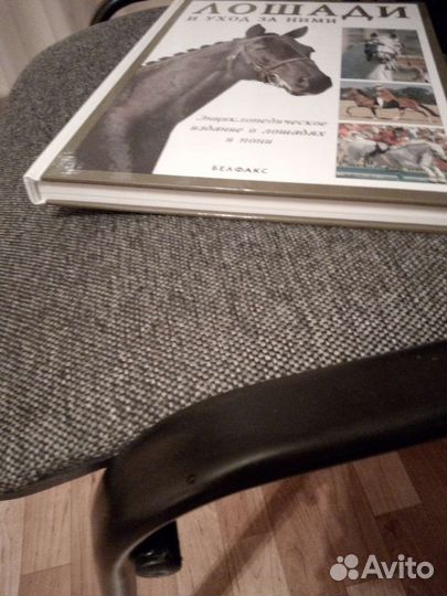 Книга Лошади и уход за ними