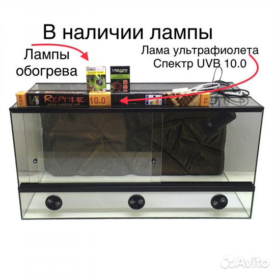 Террариум для бородатой агамы / комплект