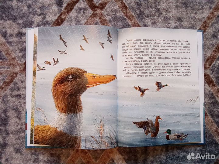 Детские книги Подарочное издание