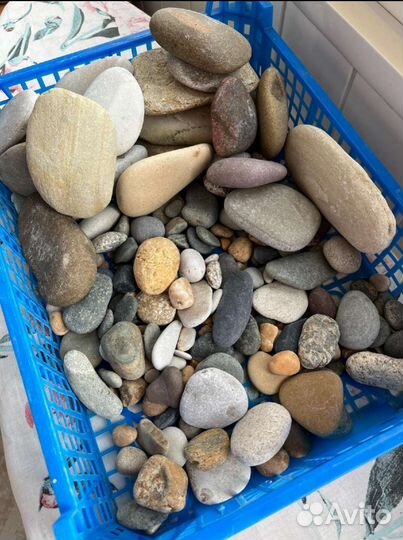 Морские камни