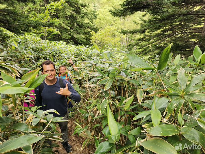 Пешая экскурсия к фумаролам и вулкану Менделеева