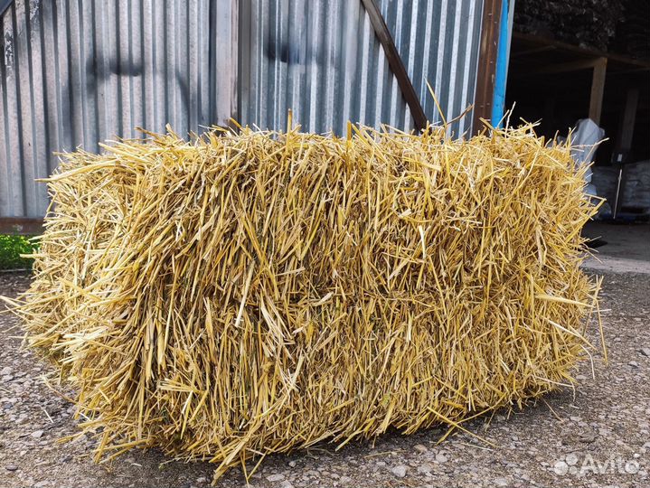 Солома в тюках с доставкой в Ступино