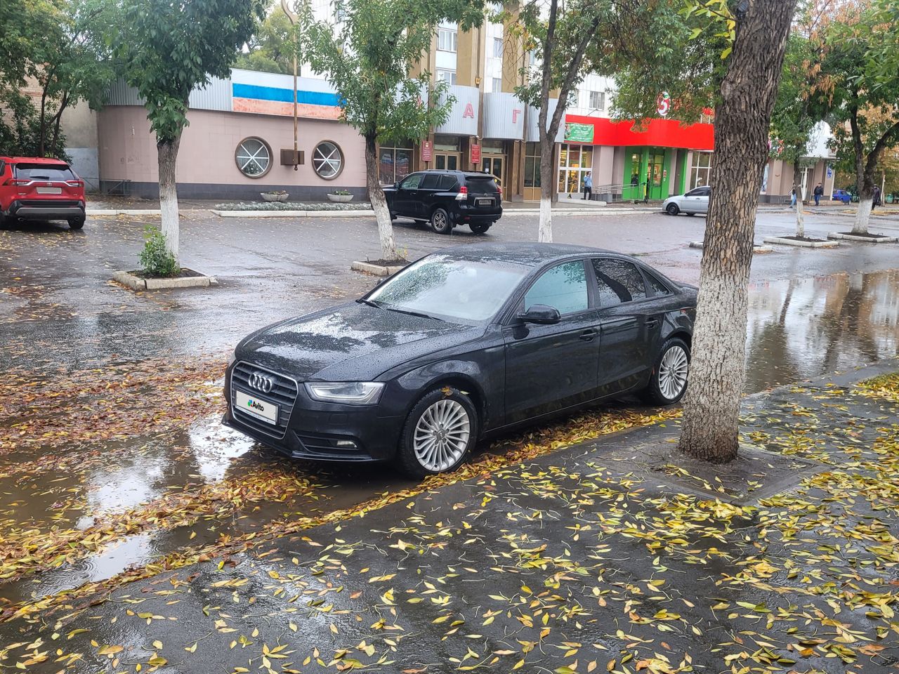 Audi A4: фото владельца