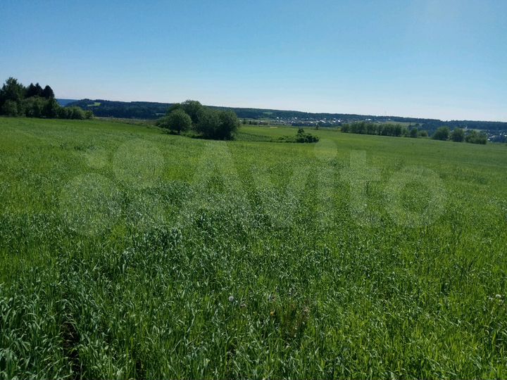 Участок 4,2 га (СНТ, ДНП)
