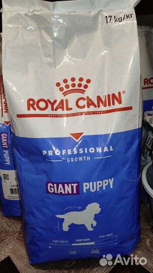 Rc best sale giant puppy