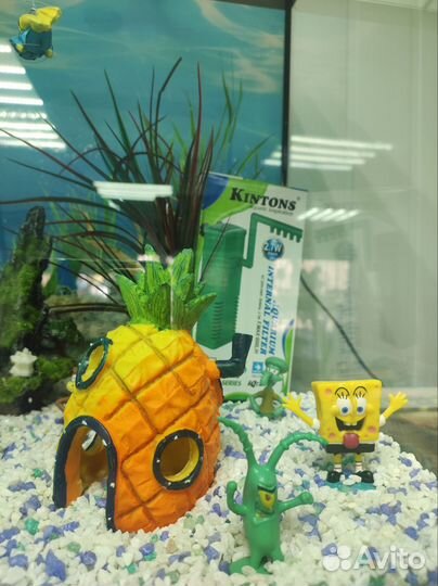 Одежда для собак и кошек