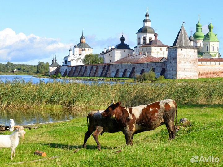 Экскурсия — Кириллов — Монастыри Северной Фиваиды: