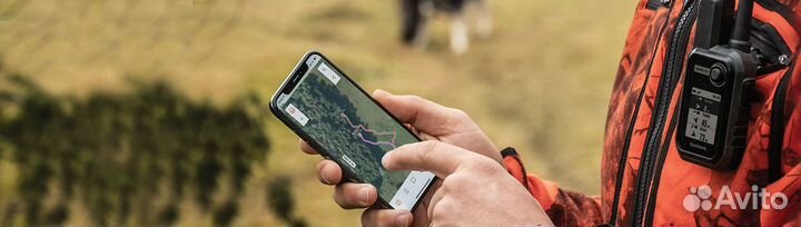 Garmin Alpha 10 Европа (EU)