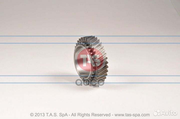 Шестерня, ZF 1315302008 'T18554 TAS Spa
