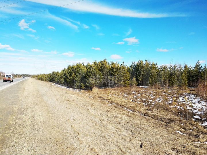 Участок 8 сот. (СНТ, ДНП)