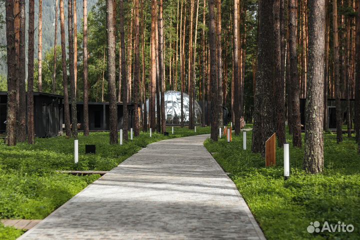 Техник (вахта Алтай и Новосибирск)
