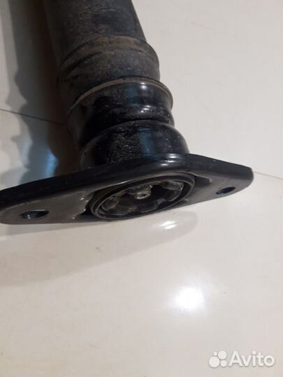 Амортизатор (задний, левый) (Haval Jolion)