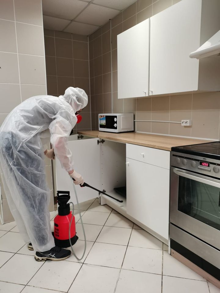 дезинфекция дератизация.