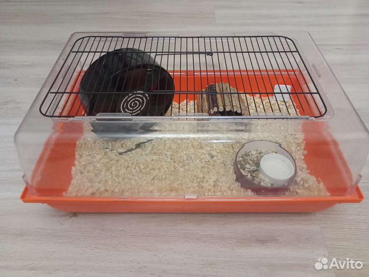 Клетка с хомяками