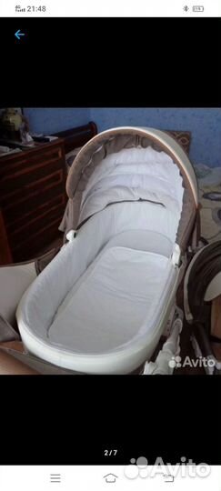 Детские коляски 2 в 1 Adamex Barletta