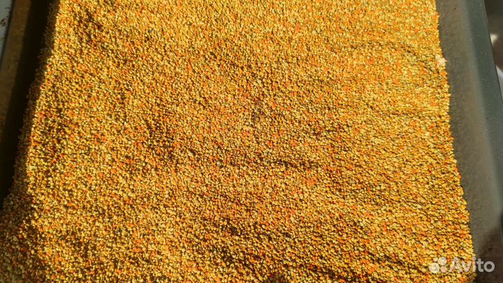 Пыльца пчелиная