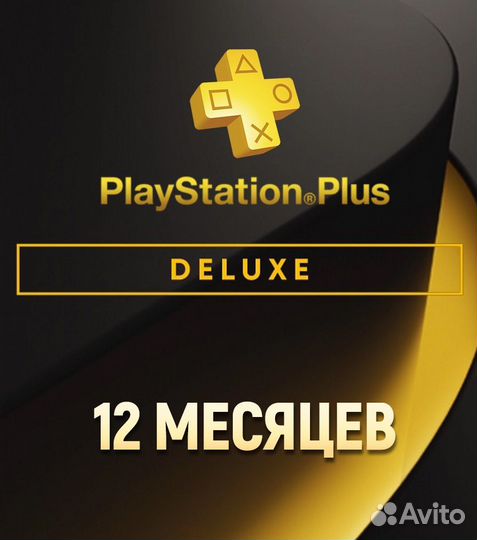 Pl plus deluxe 12 мес