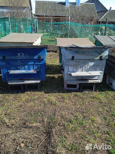 Пчелиные ульи