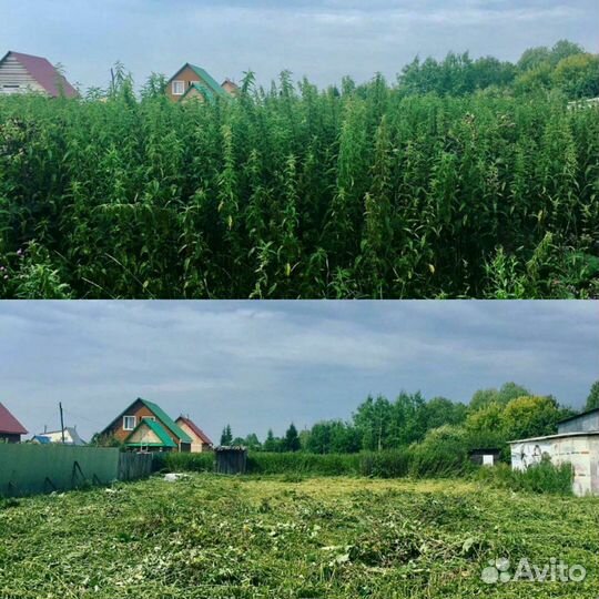 Покос травы. Вырубка мелколесья