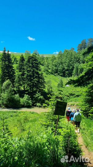 Отдых в Адыгее