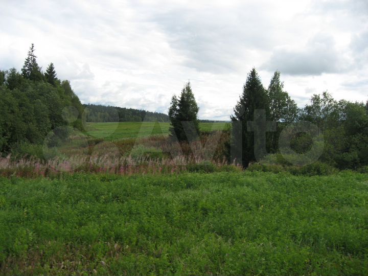 Участок 6,63 га (СНТ, ДНП)