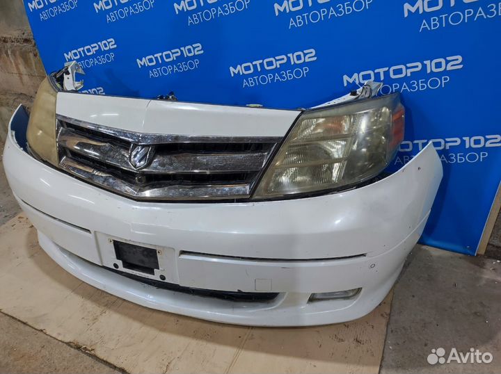 Ноускат Toyota Alphard 1