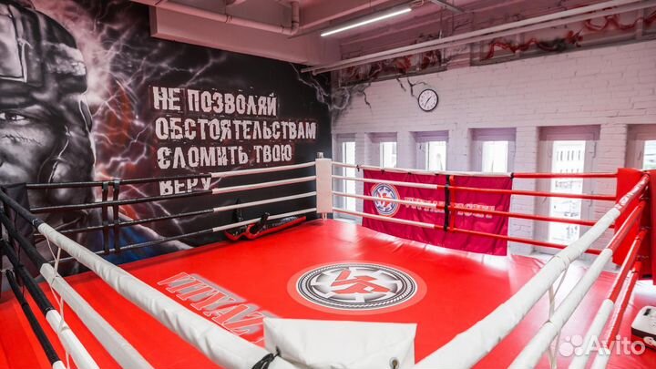 Клетка мма октагон ринг