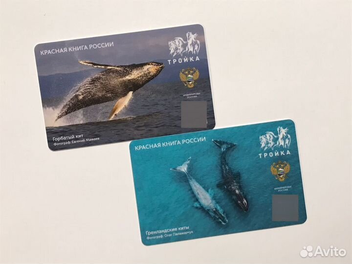 Карта метро Тройка Красная книга