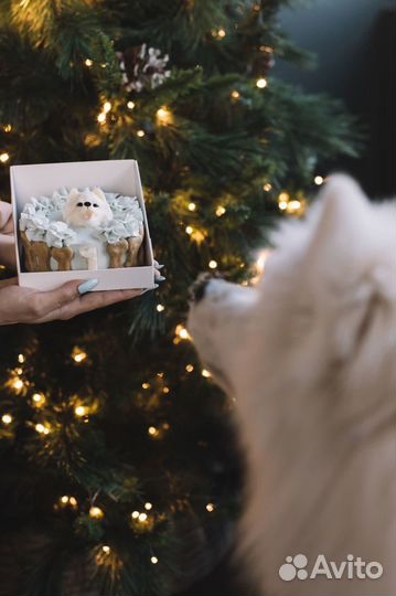 Торты для собак