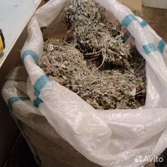 Мята, шиповник