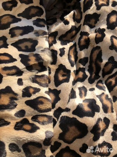 Куски тюленя