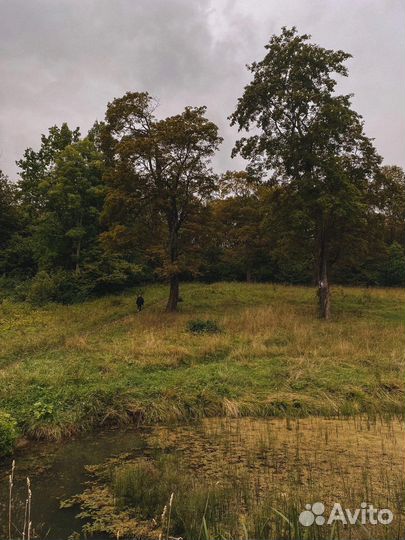 Обучение мобильной фотографии. Съёмка на телефон