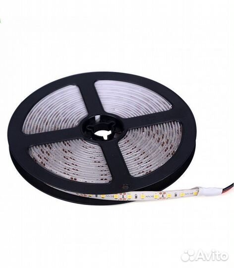 Светодиодная лента 120д/м, IP65. 12В. Хол.б
