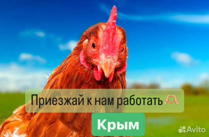 Подсобный рабочий на вахту. Летняя подработка