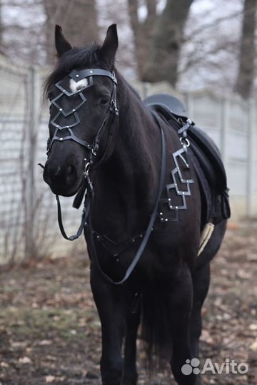 Оголовье и подперсье в барочном стиле