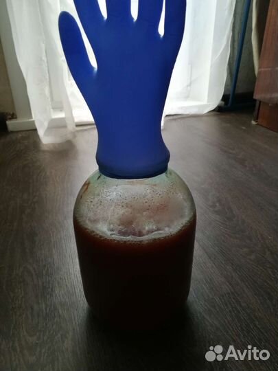 Винный гриб