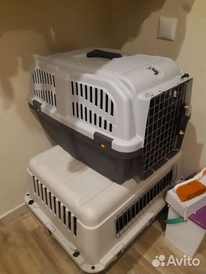 Аренда переноски для кошек и собак средних пород