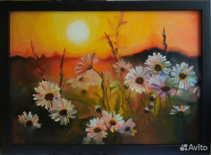 Картина маслом. Цветы. Ромашки на закате