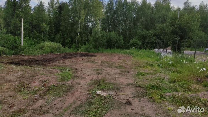 Приму грунт. Много