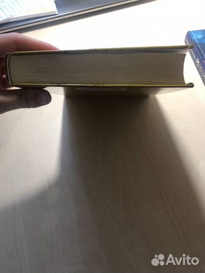 Крис Коламбус и Нед Виззини «Битва чудовищ»