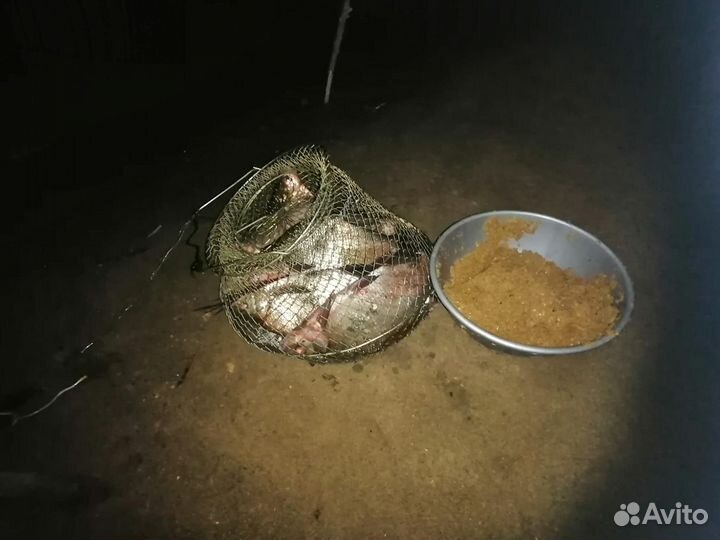 Прикормка рыболовная на основе бойловой крошки